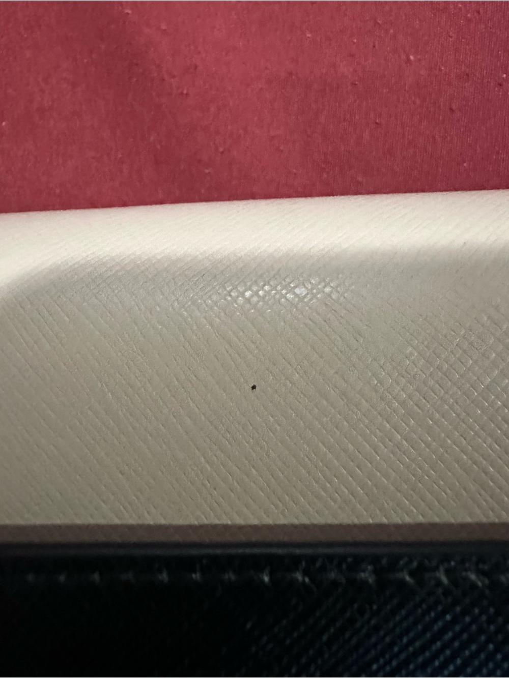 Kate Spade Crossbody - Picture 5 of 9